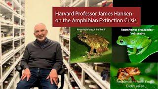 Harvard Professor James Hanken on the Amphibian Extinction Crisis