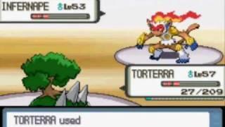 Pokemon Pearl : Infernape Vs Torterra