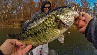 FALL BASS FISHING-CATCH & COOK (& HOOKED!!!) WITH 1Rod1ReelFishing