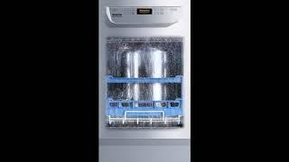 Fresh Water Dishwasher PG 805  Flexible Cleaning   Miele Professional   YouTube