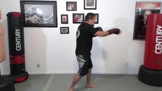 Boxing Combos 1 - 9