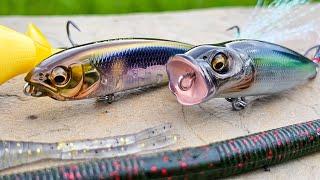 Bait Finesse Tricks For Spring And Summer Bass Fishing! ( Karashi, Popper, Soft Jerkbait )