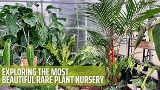 Rare Tropical Plant Nursery Tour | Aroid Greenhouses