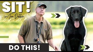 WARNING: Don't Even Think About Trying To Teach Your Dog To Be Steady To Shot Until You Watch This!