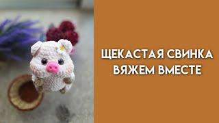 Ярмарочные игрушки/ЩЕКАСТАЯ СВИНКА вяжем вместе 