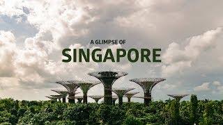 A glimpse of Singapore