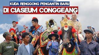 Kuda renggong bima di conggeang - Horse dance video