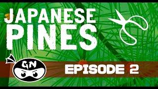 JAPANESE PINE TREES (Garden Ninjas #2)