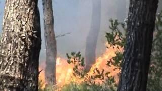 ZJARRET NE VERI DHE JUG FLAKET JASHTEKONTROLLIT NE VLORE DHE SHKODER LAJM