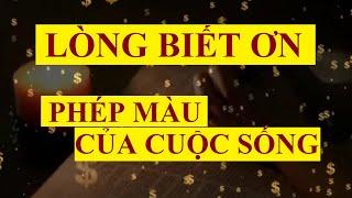 LÒNG BIẾT ƠN - PHÉP MÀU của cuộc sống || Sức mạnh tiềm thức