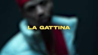 ARTIE 5IVE - LA GATTINA