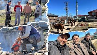 Köylülerimiz odun kesimi yapıyor köy hayatı doğal hayat