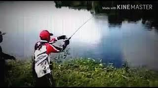 Waw mantap "(ANGLER KUKAR)" kembali beraksi.