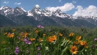 1st Day of Summer - Grand Teton National Park