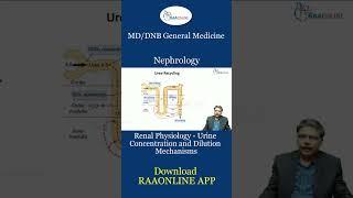 Renal Physiology Urine Concentration and Dilution Mechanisms