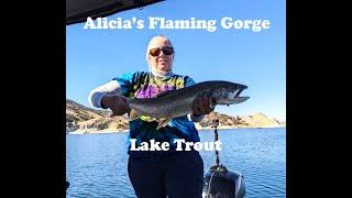 Alicia's Flaming Gorge Lake Trout