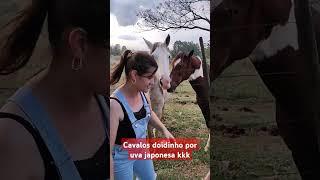 horses# crazy# for #japanese grape
