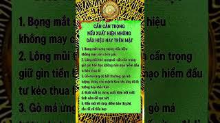 Cổ Nhân Nói Phong Thủy Chiêu Tài Hút Lộc Cải Vận Cung Tài Bạch Đón May Mắn| Phong Thủy Tử Vi Nam Bùi