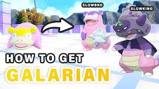 Where to get Galarica Twigs for Galarian Slowbro & Slowking ► Pokemon Scarlet & Violet