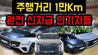 재고떨이 특집 가장 인기 많은 현대차들 베스트5