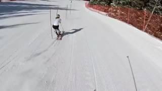 Mikaela Shiffrin frame by frame video of quick slalom turns