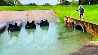 FISH of a LIFETIME in CRAZY URBAN FLOOD!!