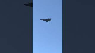 USN F-35C Lightning II Howl and mid speed pass