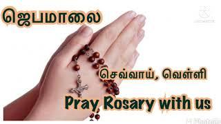 Rosary in Tamil Tuesday  Friday New Version | Rosary Tamil