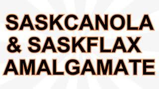 SaskCanola and SaskFlax to form single organization as of August 1