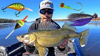 Top 5 Spring Walleye Baits & Tactics for Success