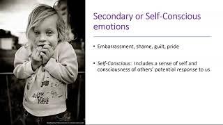 Emotional Development I Child Development