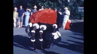 Ashburton Carnival Parade Devon 1993 F1005