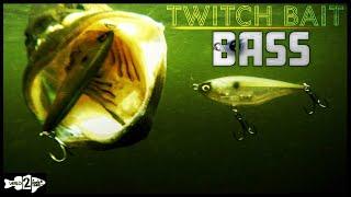 Twitch Baits for Bass: When and How to Fish