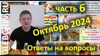 Ответы на вопросы. Октябрь 2024. Часть 6