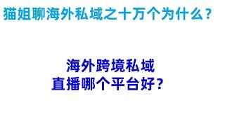 猫姐聊海外私域营销：海外跨境私域直播哪个平台好？