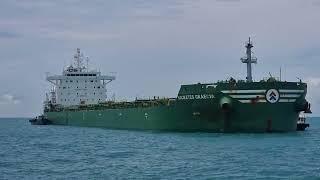 SHIPSPOTTING LONG BULK CARRIER | BIG SHIPS | TANKERS | GENERAL CARGO | CAR CARRIER | RELAXING SEA