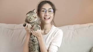 BENERAN KUCING BISA NGOMONG ! | CEK CARA KUCING BERKOMUNIKASI DENGAN KUCING LAINNYA BAHASA KUCING