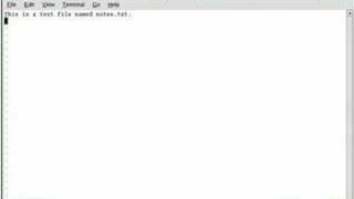 Using the vi Editor to Create and Save Text Files