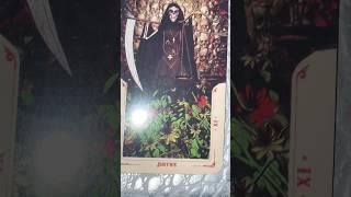 #tarotreading #tarot #santamuertetarot #shorts