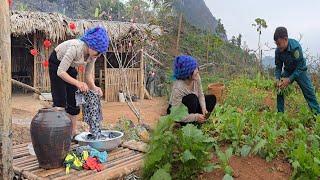 Harvesting Homegrown Vegetables: Enjoying a Delicious Morning Meal Together