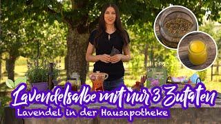 Lavendel in der Hausapotheke  Anleitung für Lavendelöl und Lavendelsalbe #wildkräuter #docfischer