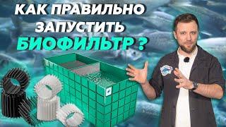 Запуск БИОФИЛЬТРА в системе УЗВ с НУЛЯ | 3 МЕТОДА запуска БИОФИЛЬТРА в системе УЗВ | Бизнес ИДЕИ