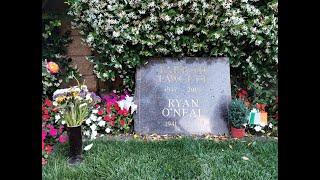 A Visit to Farrah Fawcett's Grave on the 15th Anniversary of Her Death