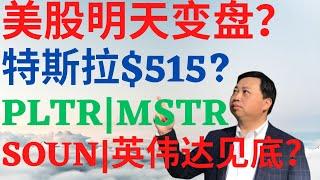 美股938|美股明天变盘?特斯拉暴涨到515?PLTR还能涨吗?MSTR能买吗?SOUN为何暴涨?英伟达见底了吗? #tsla #nvda #pltr #mstr #soun #美股分析