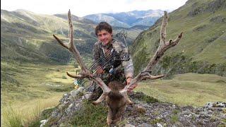 Stag in the tops. Epic Bow hunt. NZ Hunting. Summer Stags Public Land.