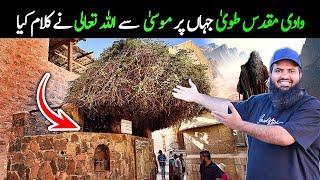 Kohe toor Wadi Tuwwa جہان پر موسی علیہ سلام سے کلام کیا اللہ تعالی نے | Egypt  tour EP.15