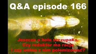 Q&A odcinek 166 - Czy wolno polemizować z Redaktorem?