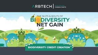 Biodiversity Net Gain - Credit Creation