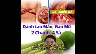 Đánh Tan Mỡ máu, Gan nhiễm Mỡ chỉ với Chanh và Sả