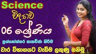 science grade 6  3rd term paper discussing | grade 6 science paper sinhala medium | science grade 6